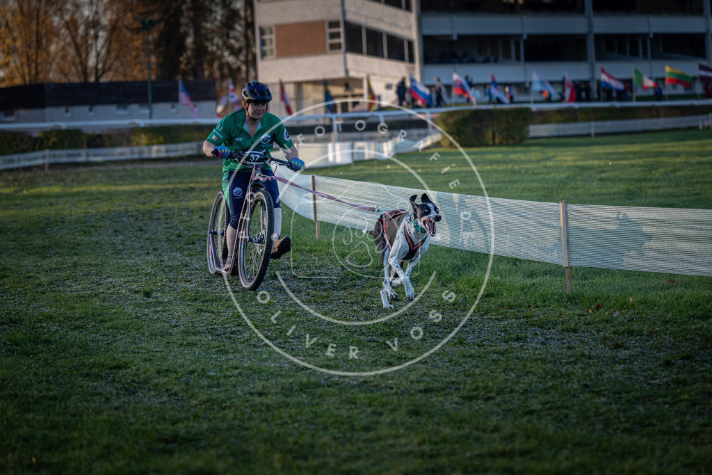 CaniXpix_0L8A1844 | Hundefotografie, Tierfotograf, Pfotenfotografie, Fotoshooting Hund, Hunde Portrait, Hundesport, Hundeportraits, Heideshooting, Hunde, Sportfotograf, Hundefotograf, Turnierhundsport, THS,  - Realisiert mit Pictrs.com