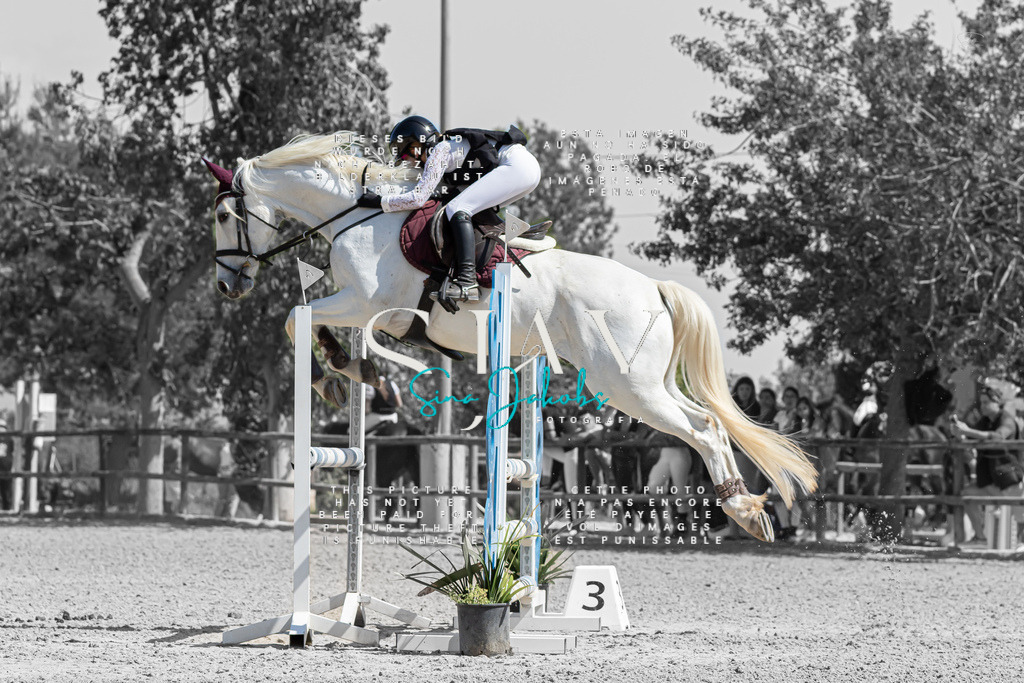 IMG_0719-2 | s-jay-photography - Realized with Pictrs.com