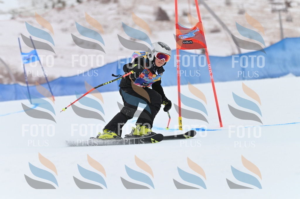 BGV_9663 | holidayphoto