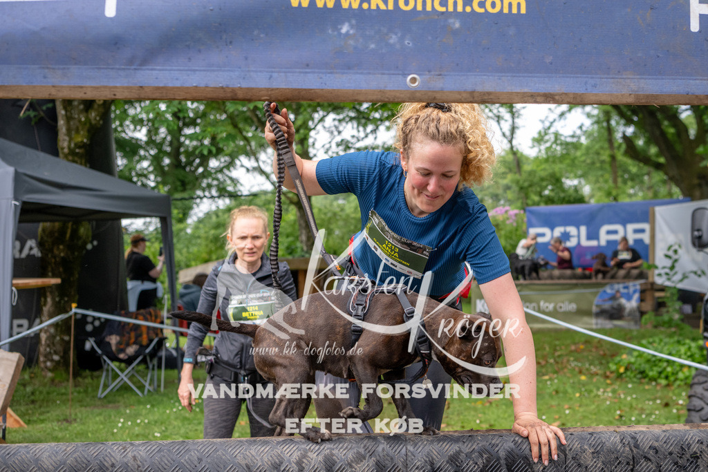 1029_ZZ90819 | kk-dogfotos