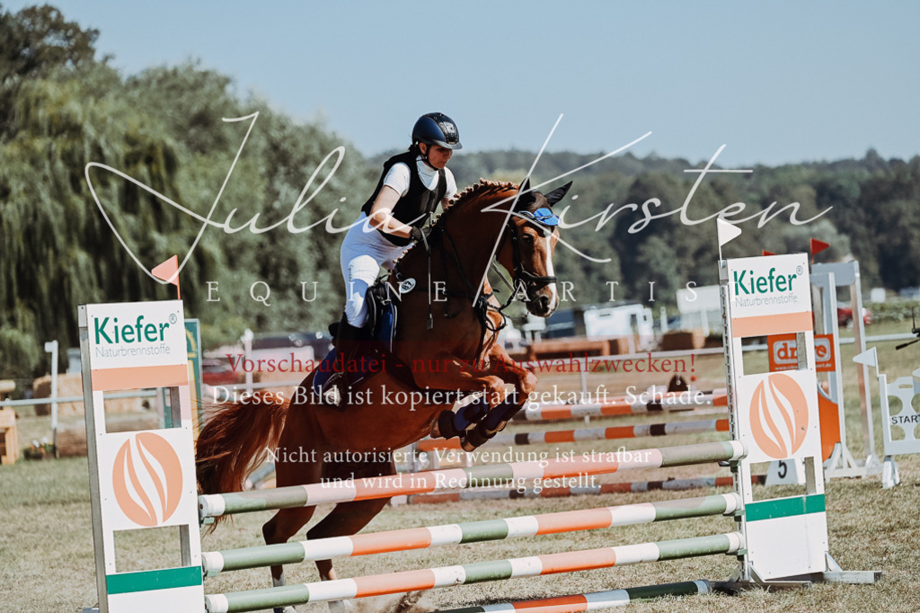DSC_9634 | Pferde- und Turnierfotografie in Westsachsen. Pferdeportraits, Auftragszeichnungen und intuitive Kunst.