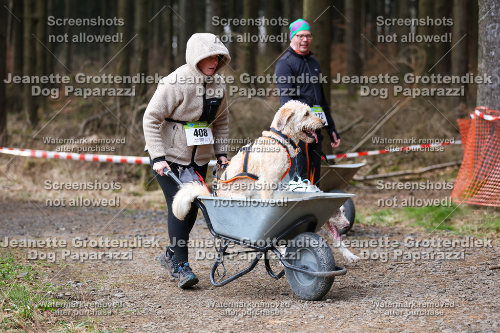 Dog Paparazzi - VCC26-674 | Dog Paparazzi Jeanette Grottendiek Fotografie & Videografie - Realisiert mit Pictrs.com