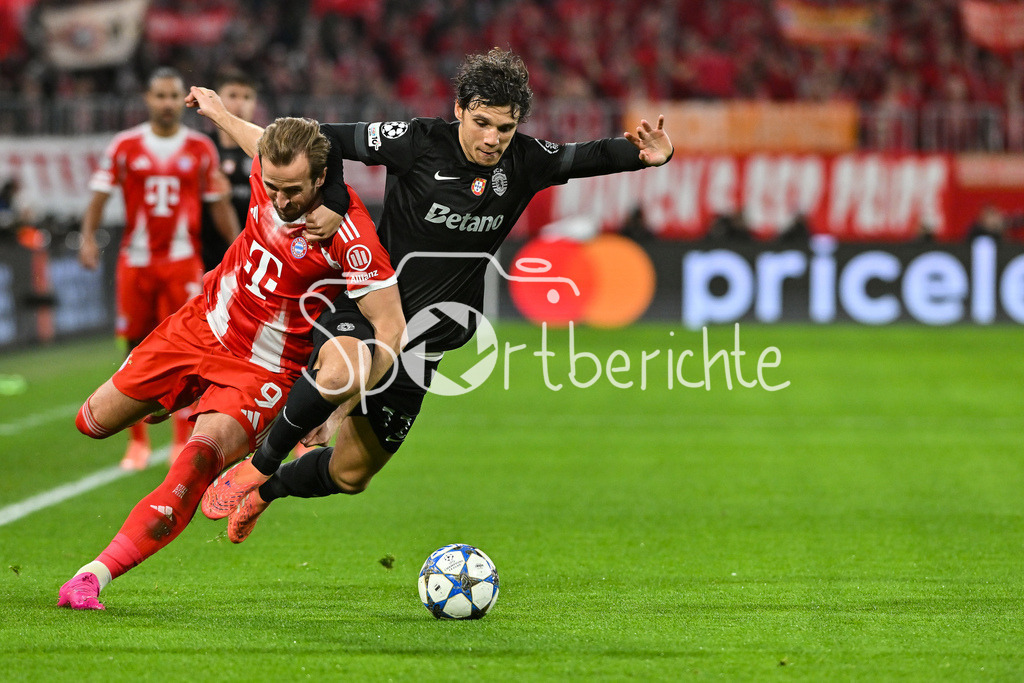 FC Bayern München - Sporting Lissabon | MUNICH, GERMANY - 09. DECEMBER: im Duell Harry KANE (FC Bayern Munich 9) und Eduardo QUARESMA (Sporting CP 72) während dem Match zwischen dem FC Bayern München und Sporting Lissabon am 6. Spieltag der UEFA Champions League Ligaphase in der Allianz Arena