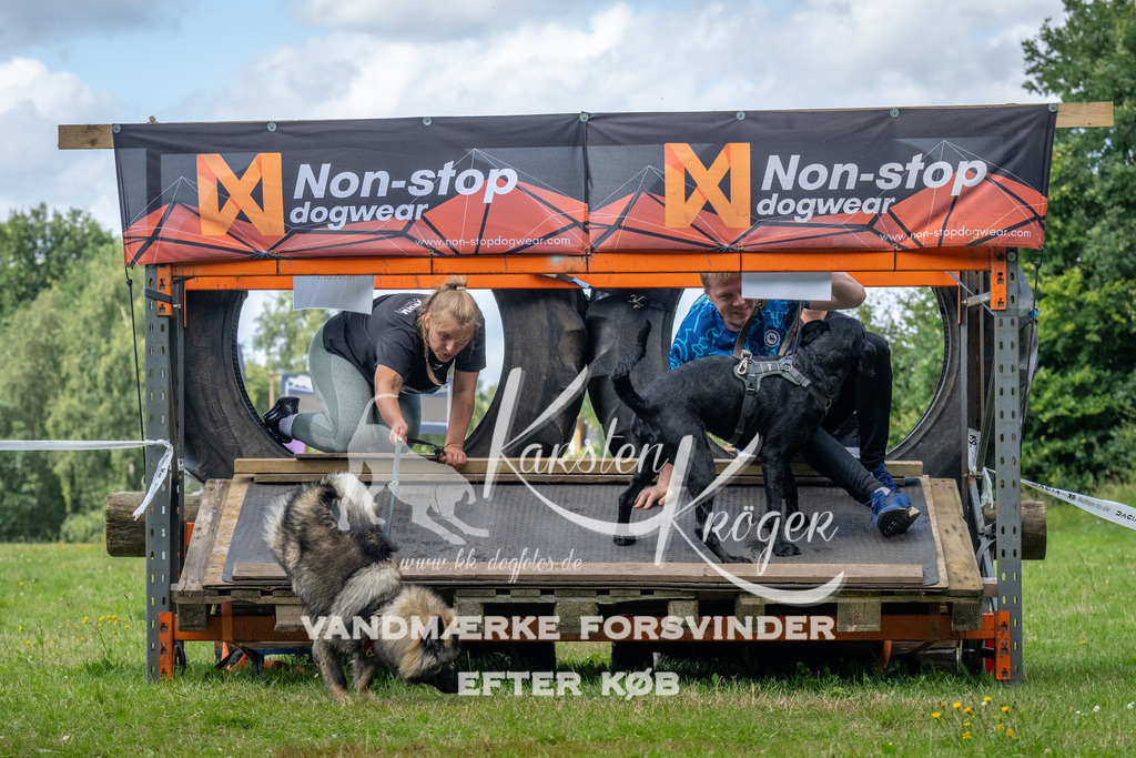 1547_ZZ94158 | kk-dogfotos