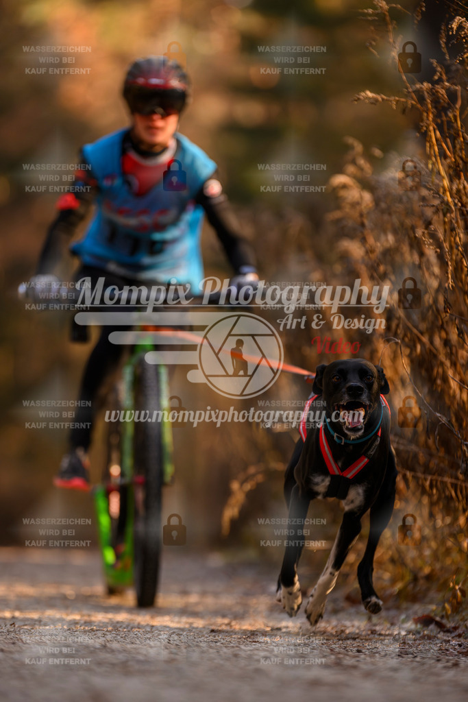 MompixPhotography_DM_AKDM_SO_2025_Scooter-169 | PayLife