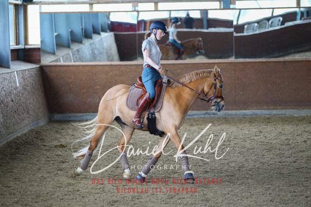 DKP42938 | Turniersportfotografie; Pferdefotografie; Dressurfotografie