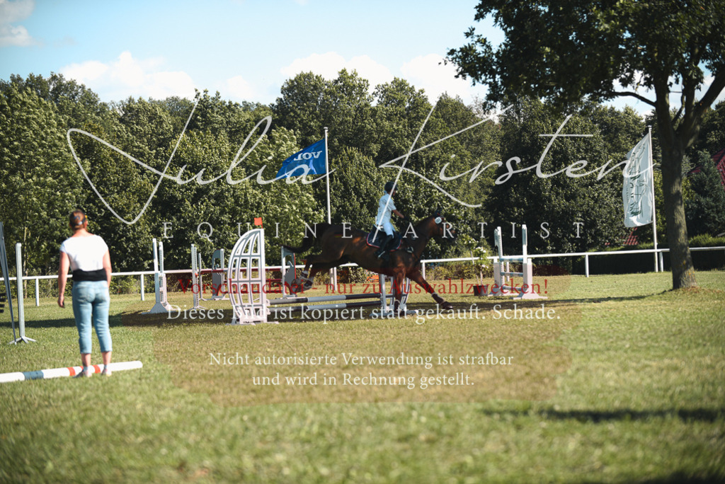 DSC_7613 | Pferde- und Turnierfotografie in Westsachsen. Pferdeportraits, Auftragszeichnungen und intuitive Kunst.