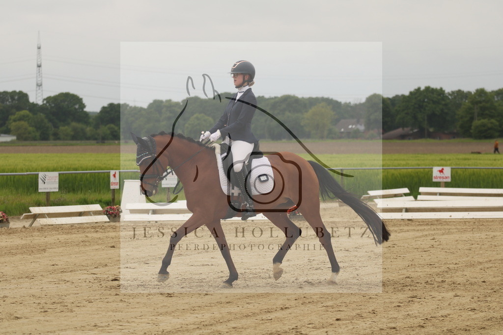 IMG_6870 | jessicahollubetz_pferdephotographie - Realisiert mit Pictrs.com