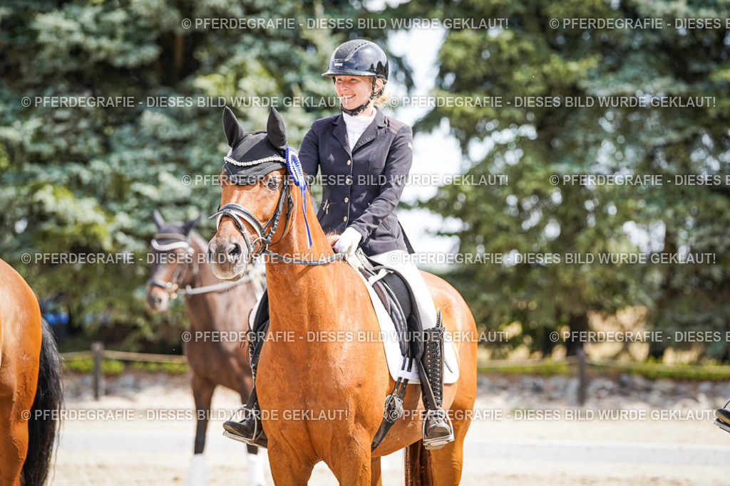 DSC02252 | Pferdegrafie