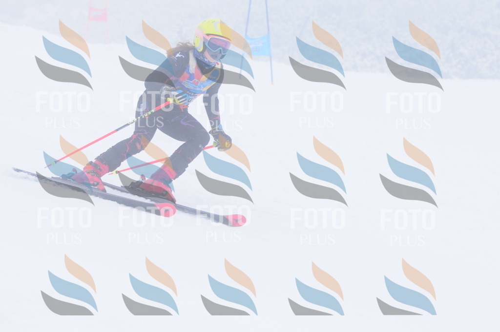 C3482 | holidayphoto