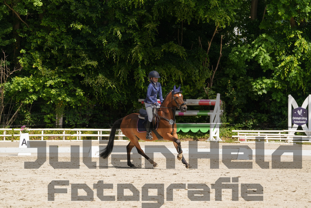 DSC03312 | Julian Held Fotografie - Realisiert mit Pictrs.com