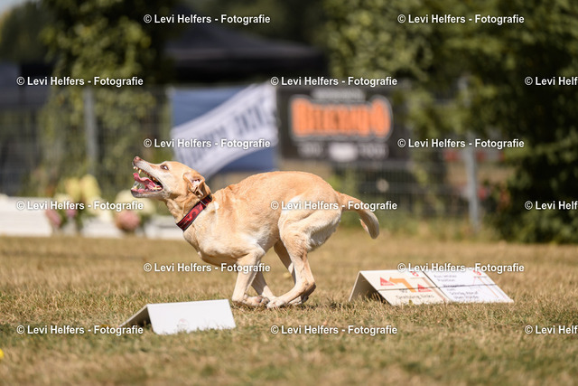 _DSC6429 | levihelfersfotografie