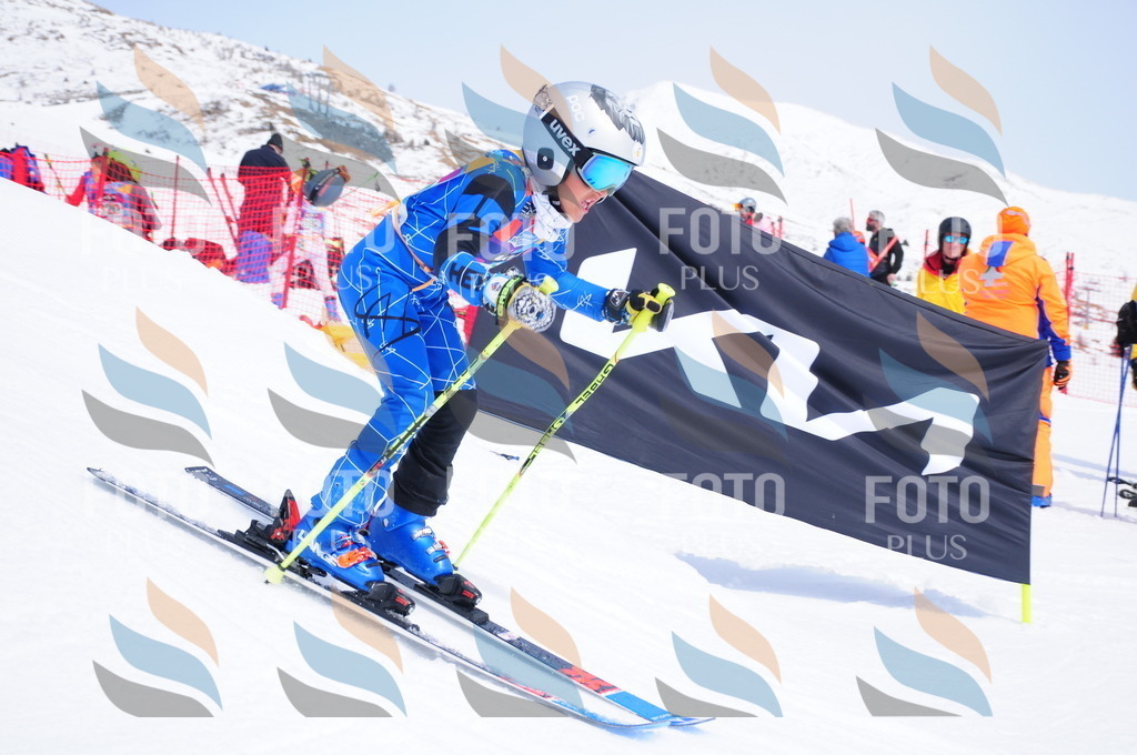 DSC_2502 | holidayphoto