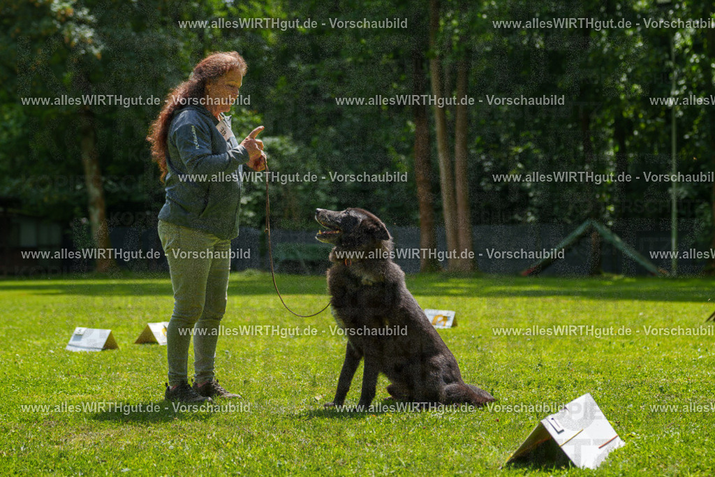 @allesWIRTHgut_Tierfotografie - www.allesWIRTHgut.de - 7R504682 | Professionelle Tierfotografie in Mönchengladbach von Daniel Wirth (allesWIRTHgut). Liebevolle & natürliche Bilder von Hunden & Katzen für unvergessliche Erinnerungen.