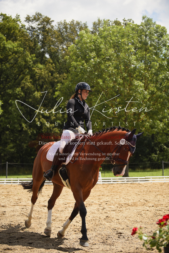 DSC_1252 | Pferde- und Turnierfotografie in Westsachsen. Pferdeportraits, Auftragszeichnungen und intuitive Kunst.
