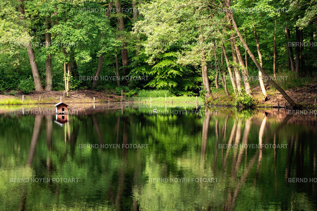 duck house | Fotografie in Schleswig-Holstein, Deutschland.
Eine Aufnahme vom Mühlenteich in dem kleinen Städtchen Trittau mit einer schönen Spiegelung im See. Für die Enten gibt es kleines Entenhaus. | Photography in Schleswig-Holstein, Germany.
A shot of the mill pond in the small town of Trittau with a beautiful reflection in the lake. There is a small duck house for the ducks. - Realisiert mit Pictrs.com