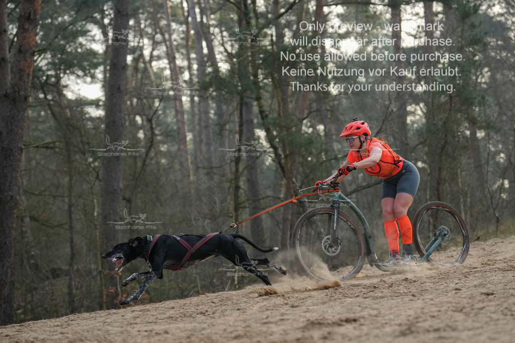 Scooter1-91 | stephaniefillaphotographie - Realisiert mit Pictrs.com