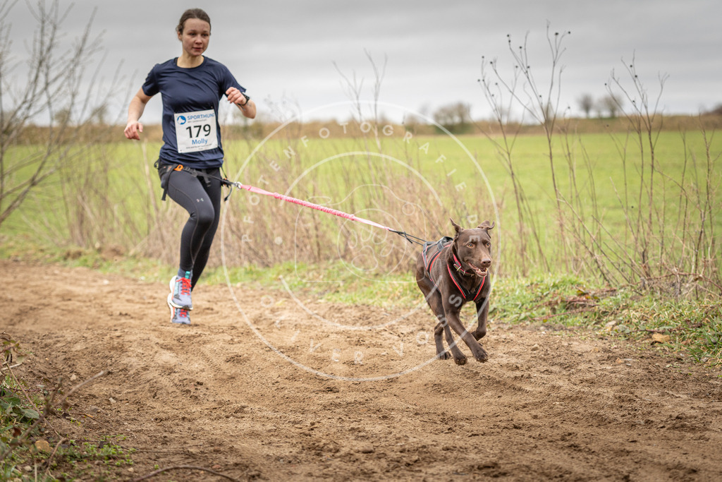 DV3A2074 | Hundefotografie, Tierfotograf, Pfotenfotografie, Fotoshooting Hund, Hunde Portrait, Hundesport, Hundeportraits, Heideshooting, Hunde, Sportfotograf, Hundefotograf, Turnierhundsport, THS,  - Realisiert mit Pictrs.com