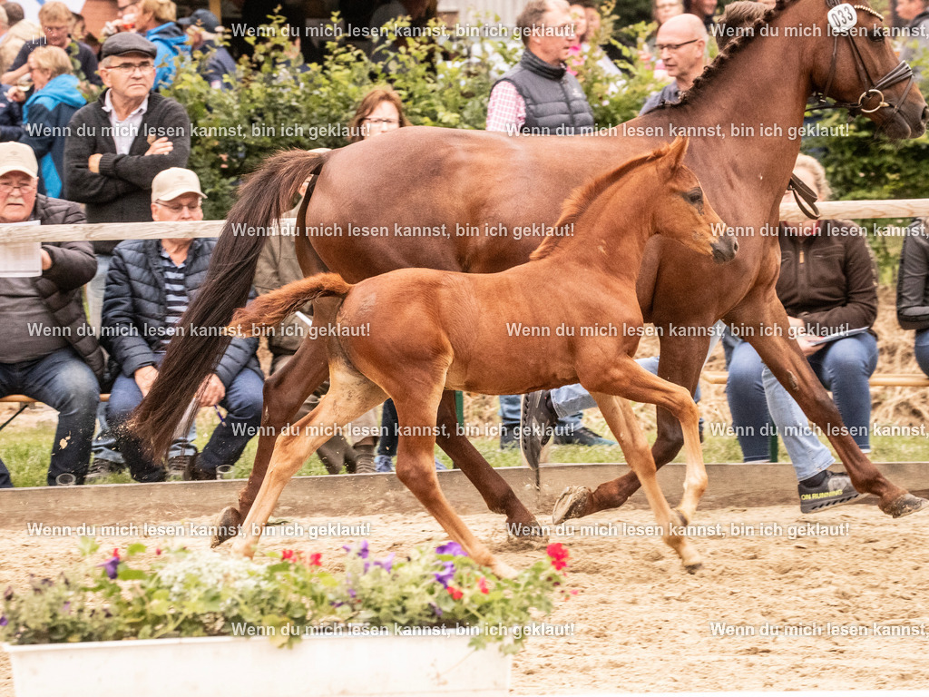 A10I2568 15.56.13 | photographylinaismer - Realisiert mit Pictrs.com