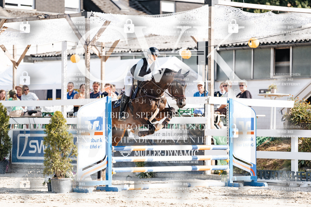 CK909271 | Turnierfotografie Pferdefotografie Trier Rheinland-Pfalz Pferdesport Reitsport Tierfotografie Sportfotografie Pferdevideo Pferdevideografie Equestrianvideography equestrianphotography  - Realisiert mit Pictrs.com
