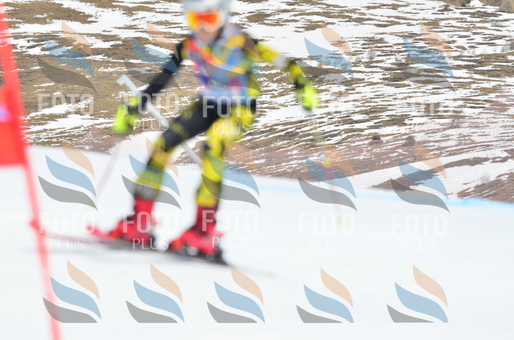 _ELE2496 | holidayphoto