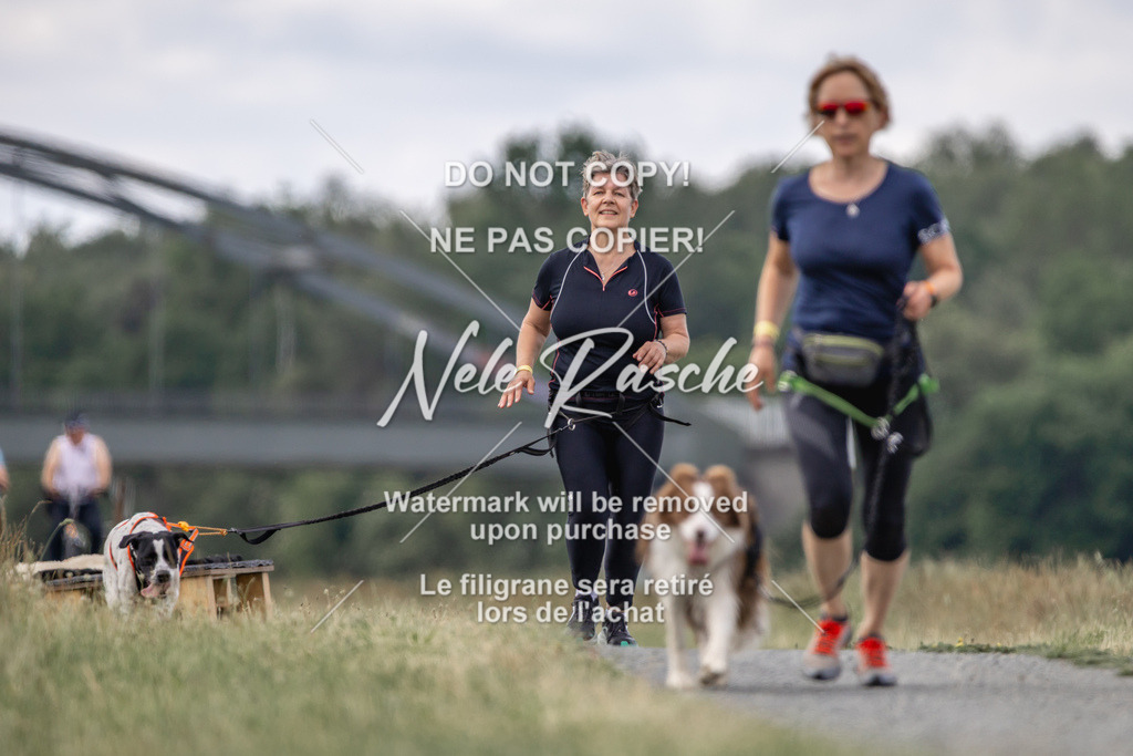 nelerasche_BuHu2026_SaCC1100-1200_147 | nelerasche