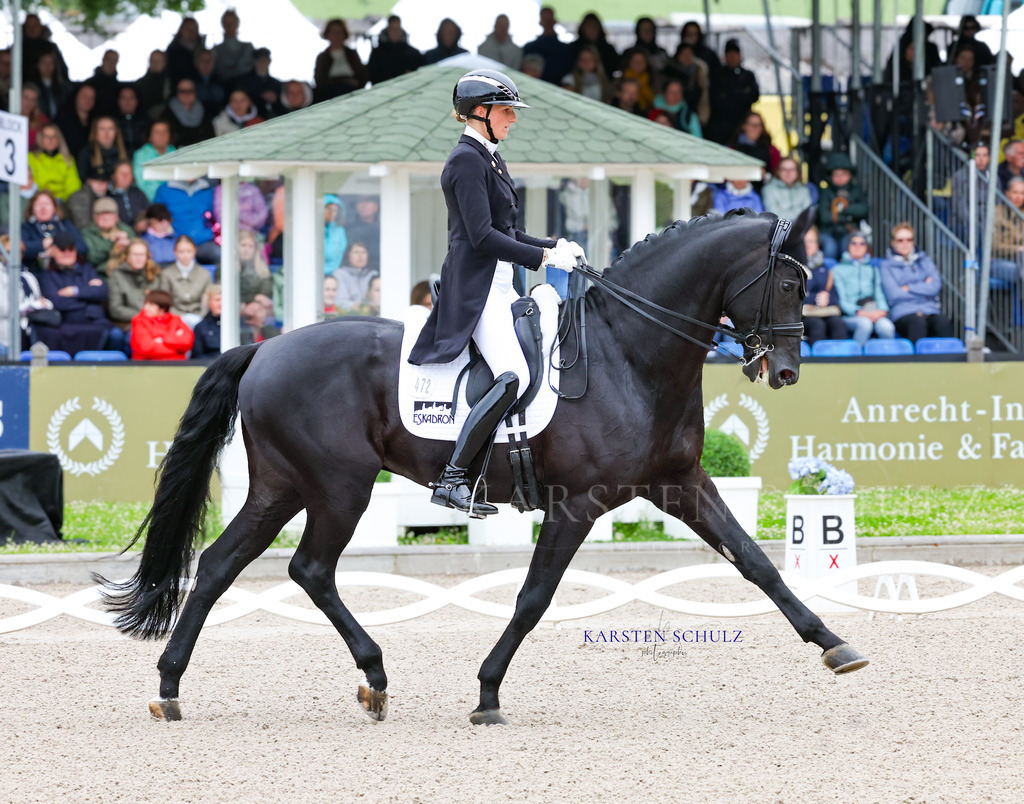 1B3A7318 | Reitsport Reiten