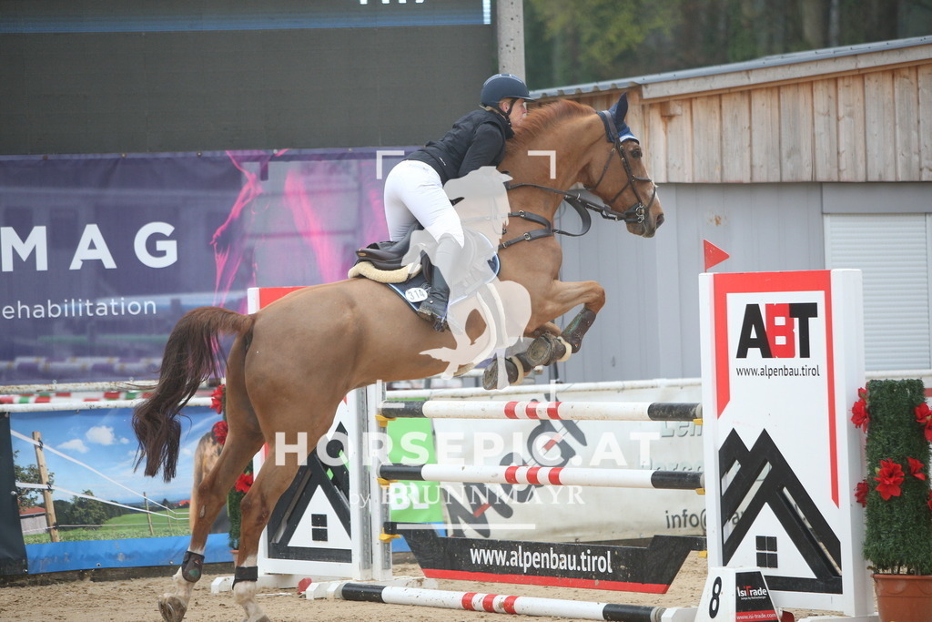 PP012693 | Willkommen bei Brunnmayr - Design & Fotografie – Ihrem Spezialisten für Reitturniere und Pferdeveranstaltungen in Oberösterreich, Salzburg und Bayern! Seit über 17 Jahren sind wir leidenschaftlich dabei.