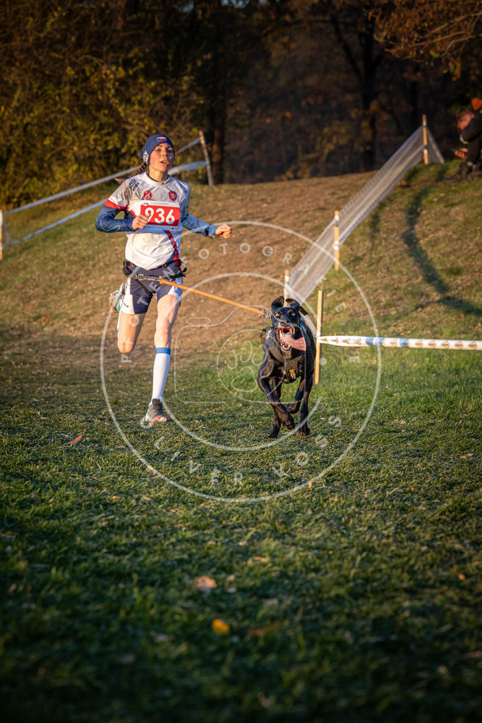 CaniXpix_0L8A1783 | Hundefotografie, Tierfotograf, Pfotenfotografie, Fotoshooting Hund, Hunde Portrait, Hundesport, Hundeportraits, Heideshooting, Hunde, Sportfotograf, Hundefotograf, Turnierhundsport, THS,  - Realisiert mit Pictrs.com