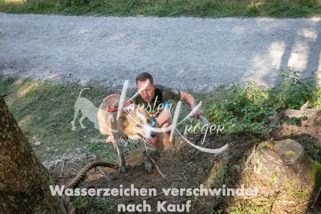 1130_ZZ90685 | kk-dogfotos