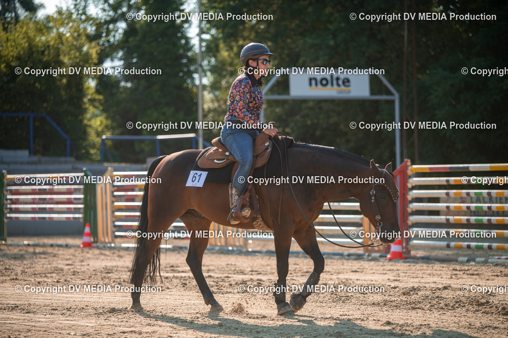 ZS2_8979 | dv-media-shop - Realisiert mit Pictrs.com