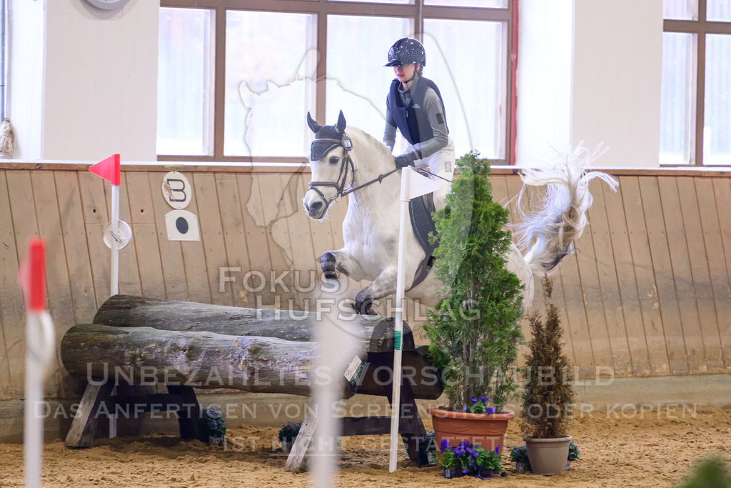 29032026-Schwaiganger-Prfg03-2-0331 | Fokus Hufschlag Fotografie - Realisiert mit Pictrs.com