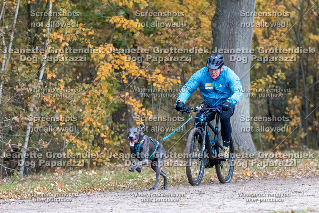 Dog Paparazzi - SD CaniX Championship 2025-215 | Dog Paparazzi Jeanette Grottendiek Fotografie & Videografie - Realisiert mit Pictrs.com