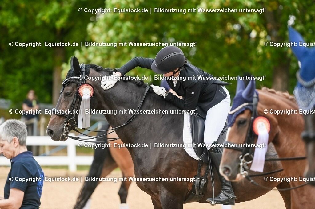 20230716_01_Dressurprüfung Kl.M_0679 | equistock