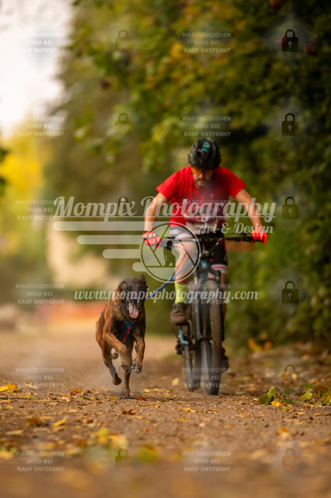 CDLBDB_14_10_2023_Samedi-98 | PayLife