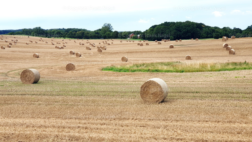 Heuballen-Addition2 | dataxp - Realisiert mit Pictrs.com