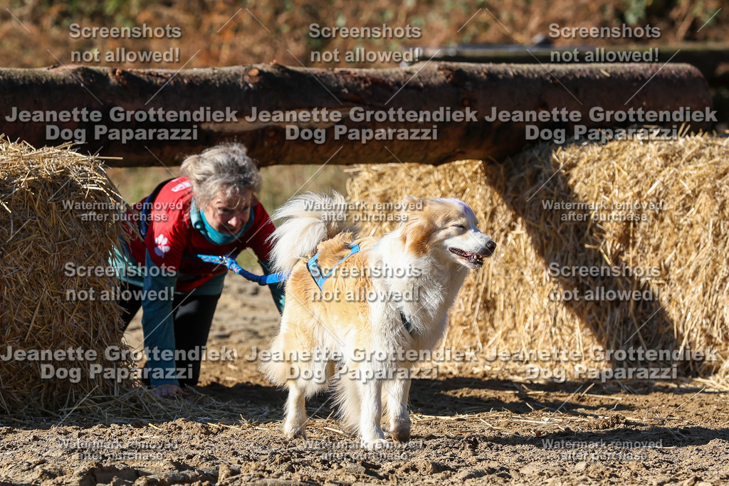 Dog Paparazzi - Strongdog 10-25-2527 | Dog Paparazzi Jeanette Grottendiek Fotografie & Videografie - Realisiert mit Pictrs.com