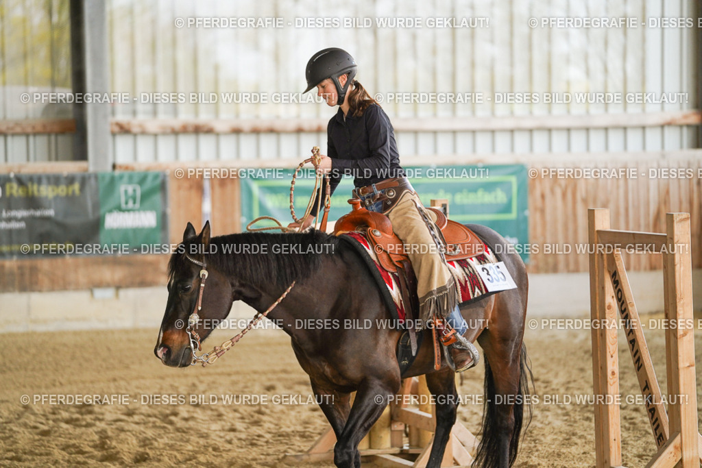 DSC06260 | Pferdegrafie