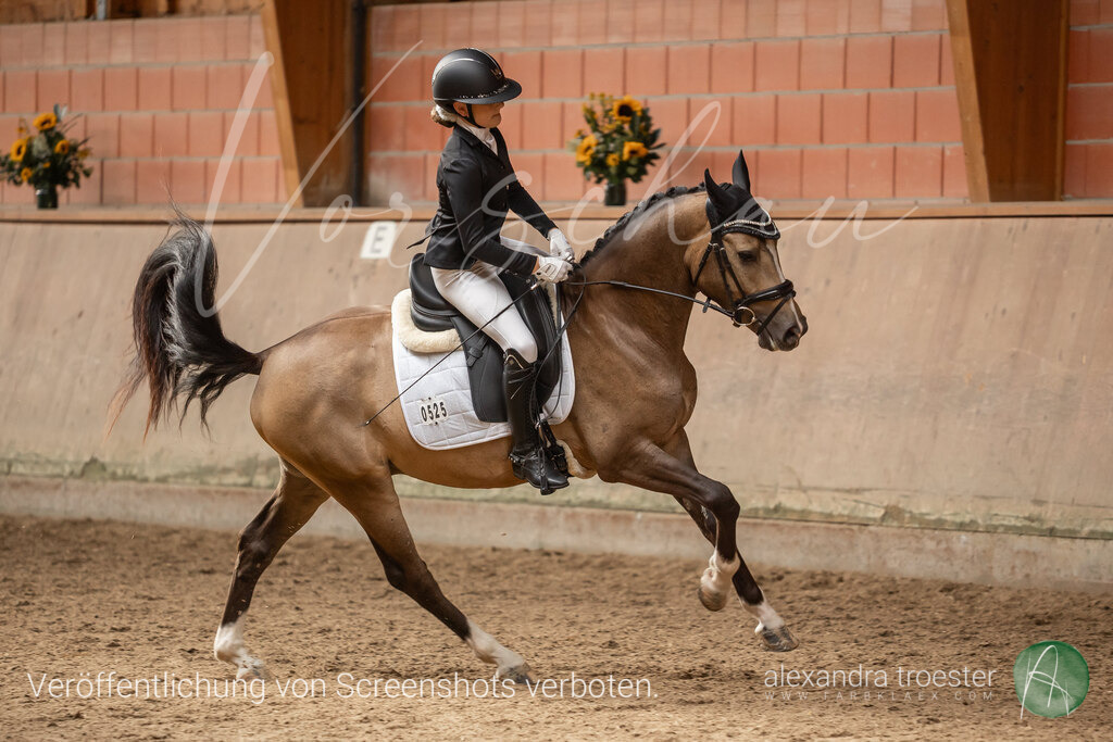 250912_Barop_06_097 | farbklaex.com