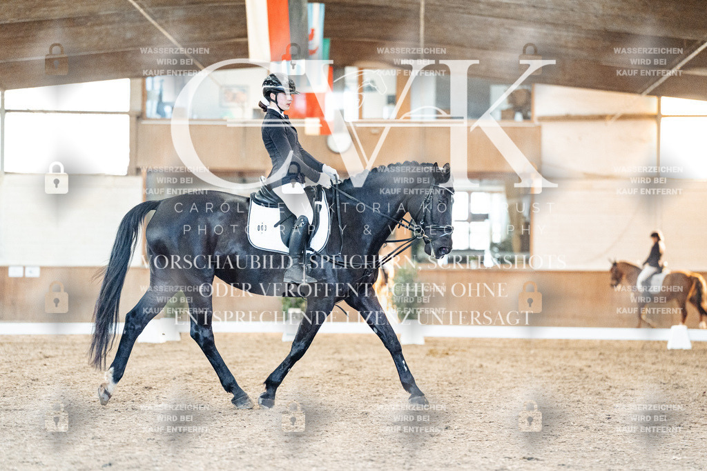 CK906940 | Turnierfotografie Pferdefotografie Trier Rheinland-Pfalz Pferdesport Reitsport Tierfotografie Sportfotografie Pferdevideo Pferdevideografie Equestrianvideography equestrianphotography  - Realisiert mit Pictrs.com