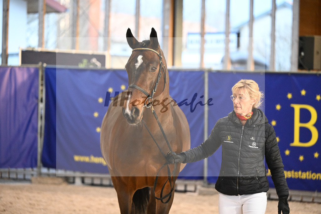 Vigaro_7240869 | hf-fotografie - Realisiert mit Pictrs.com