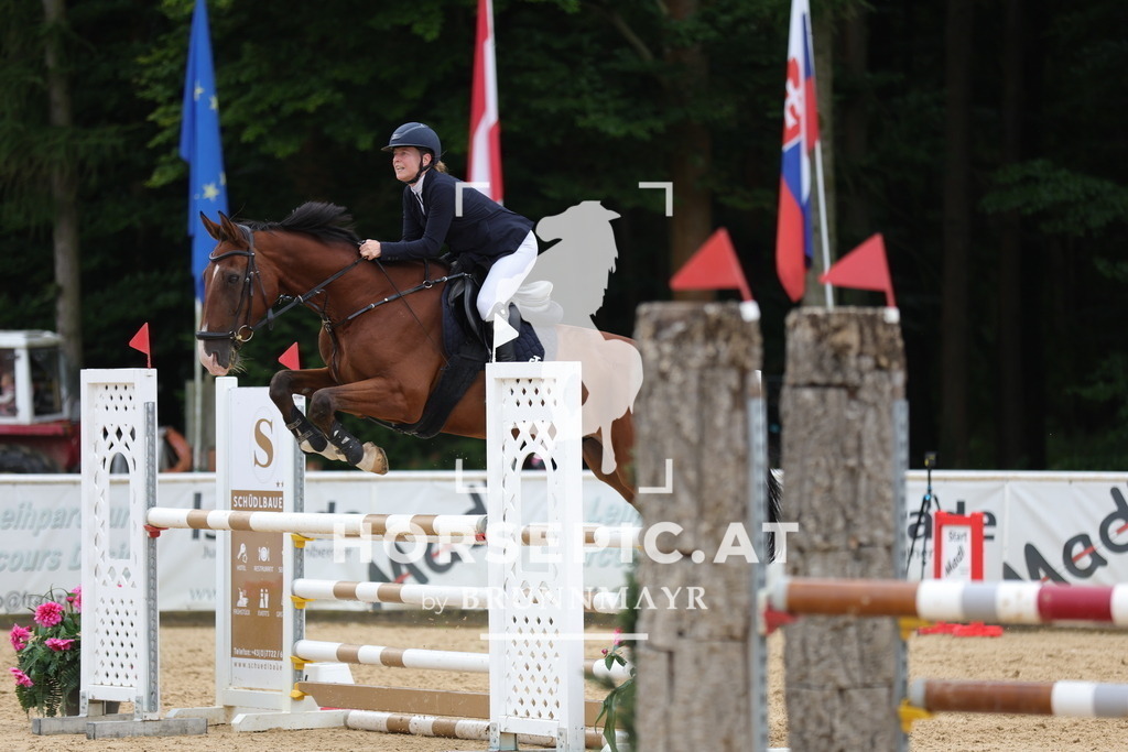0P6A3118 | Willkommen bei Brunnmayr - Design & Fotografie – Ihrem Spezialisten für Reitturniere und Pferdeveranstaltungen in Oberösterreich, Salzburg und Bayern! Seit über 17 Jahren sind wir leidenschaftlich dabei.