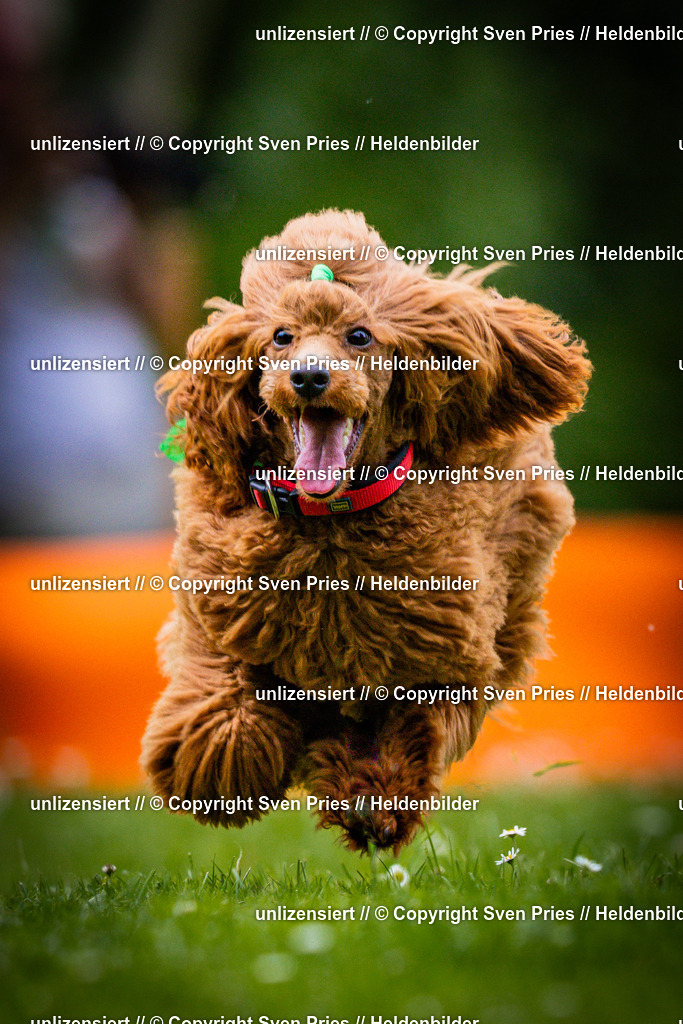 Sven Pries | 2025-05-29 - Pudelrennen KA-Durlach - Realisiert mit Pictrs.com