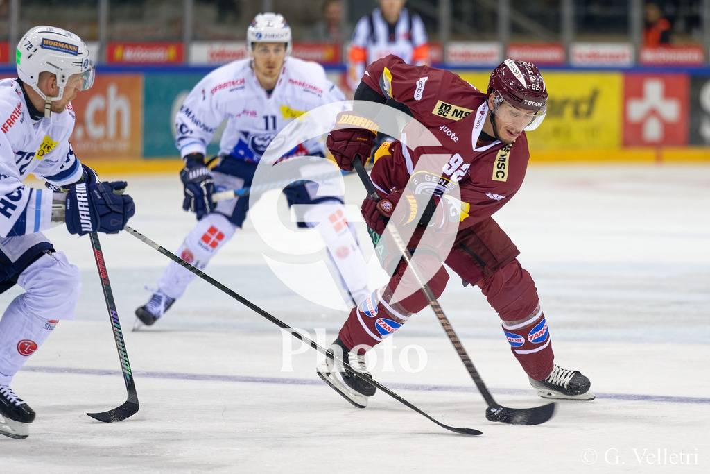 DSC_3507 | Velletri Photo