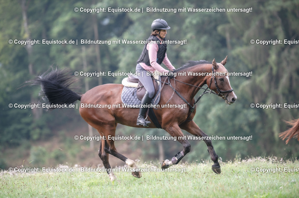 20250726_Vielseitigkeitslehrgang-Marbach_0065 | Foto: Thomas Hartig