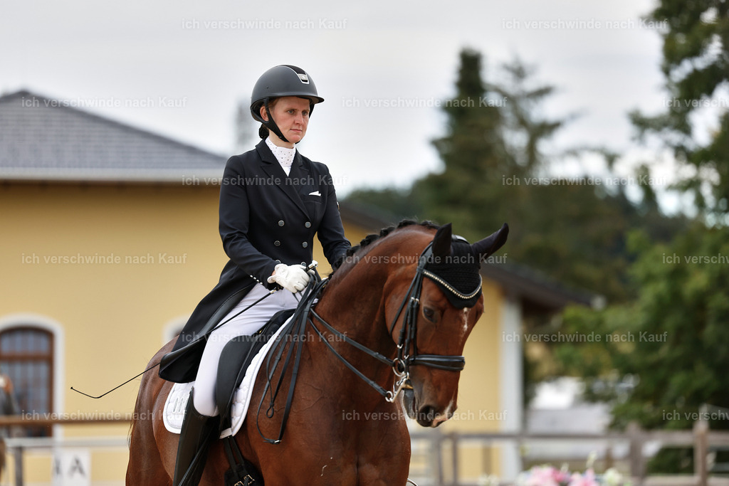 6-084-AMATUER-DRESSUR S_  -StoibPH-3563 | working equitationturnier fotograf videograf stoibphotography marixx film working equitation deutschland reitsport turnierfotografie eventfotografie equestrian events