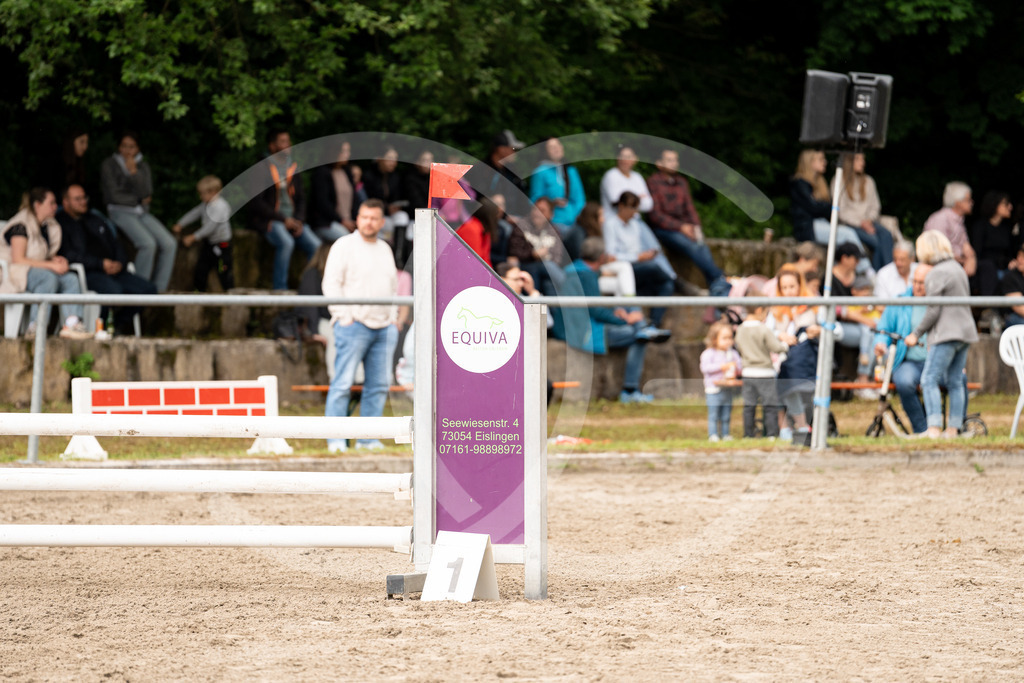 DSC09088 | Carolin Gieschke