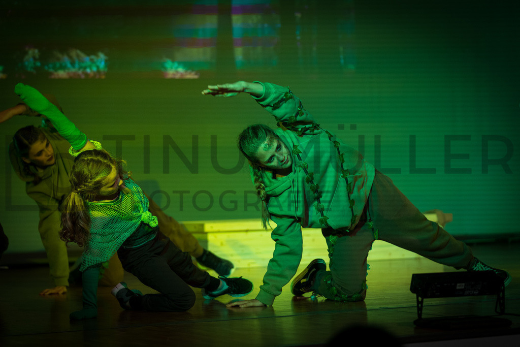 DSC05308 | Tinu Müller Fotografie- Bildershop - Realisiert mit Pictrs.com