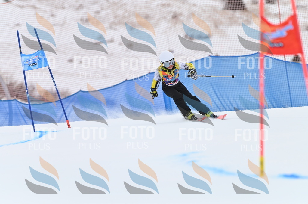 BGV_3022 | holidayphoto