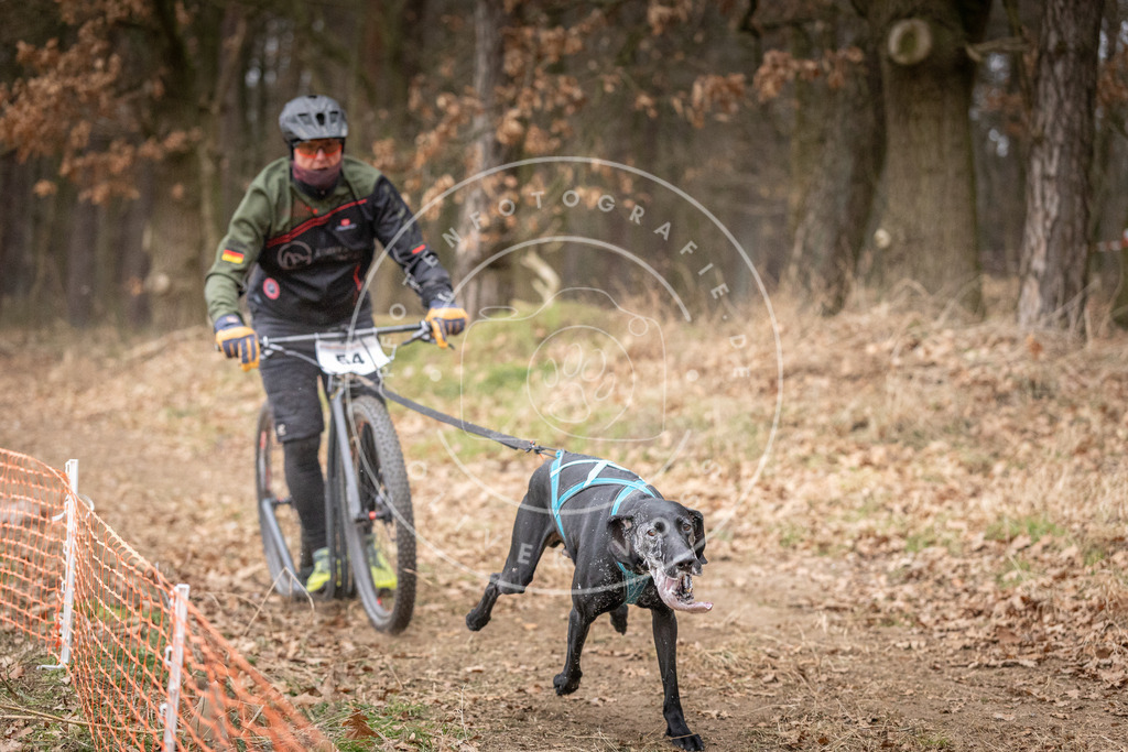 Pfotenfotografie_DV3A1509 | Hundefotografie, Tierfotograf, Pfotenfotografie, Fotoshooting Hund, Hunde Portrait, Hundesport, Hundeportraits, Heideshooting, Hunde, Sportfotograf, Hundefotograf, Turnierhundsport, THS,  - Realisiert mit Pictrs.com